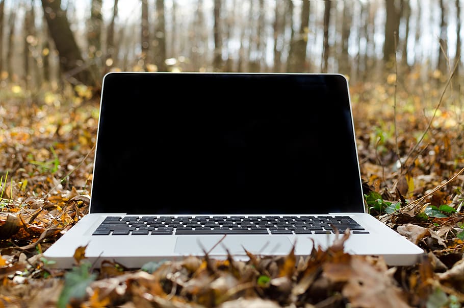 laptop, apple, teclado, tecnologia, mac, aplicativo, software, hardware, folhas, outono
