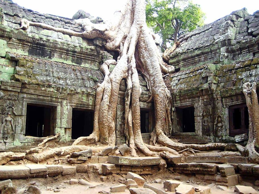 cambodia, ruins, ancient, asia, travel, temple, angkor, wat, religion, khmer