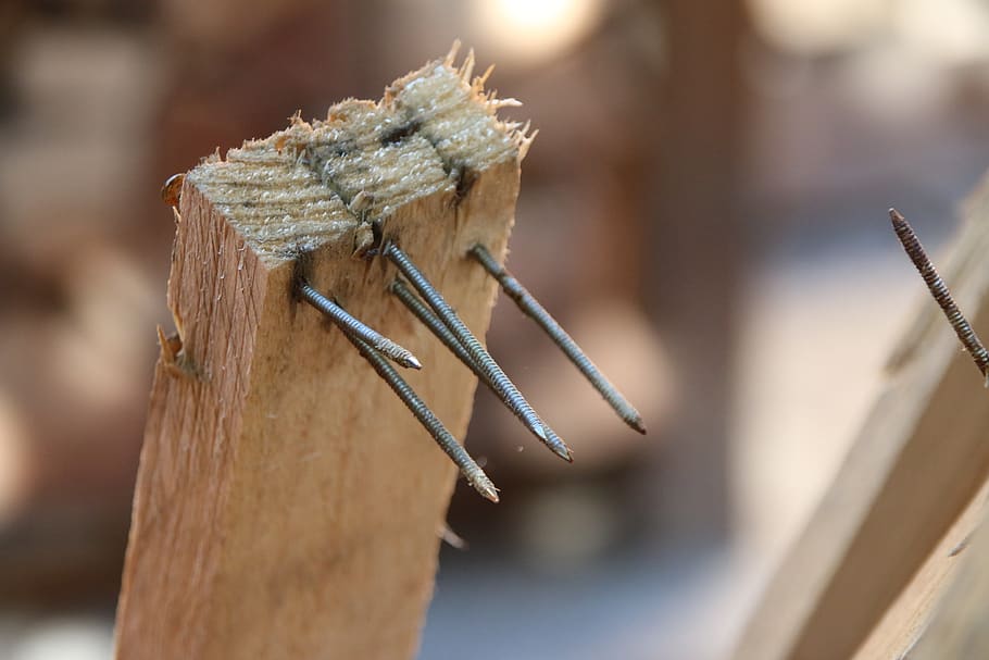 nails, batten, wooden slat, wood - material, close-up, focus on foreground, day, tree, nature, outdoors