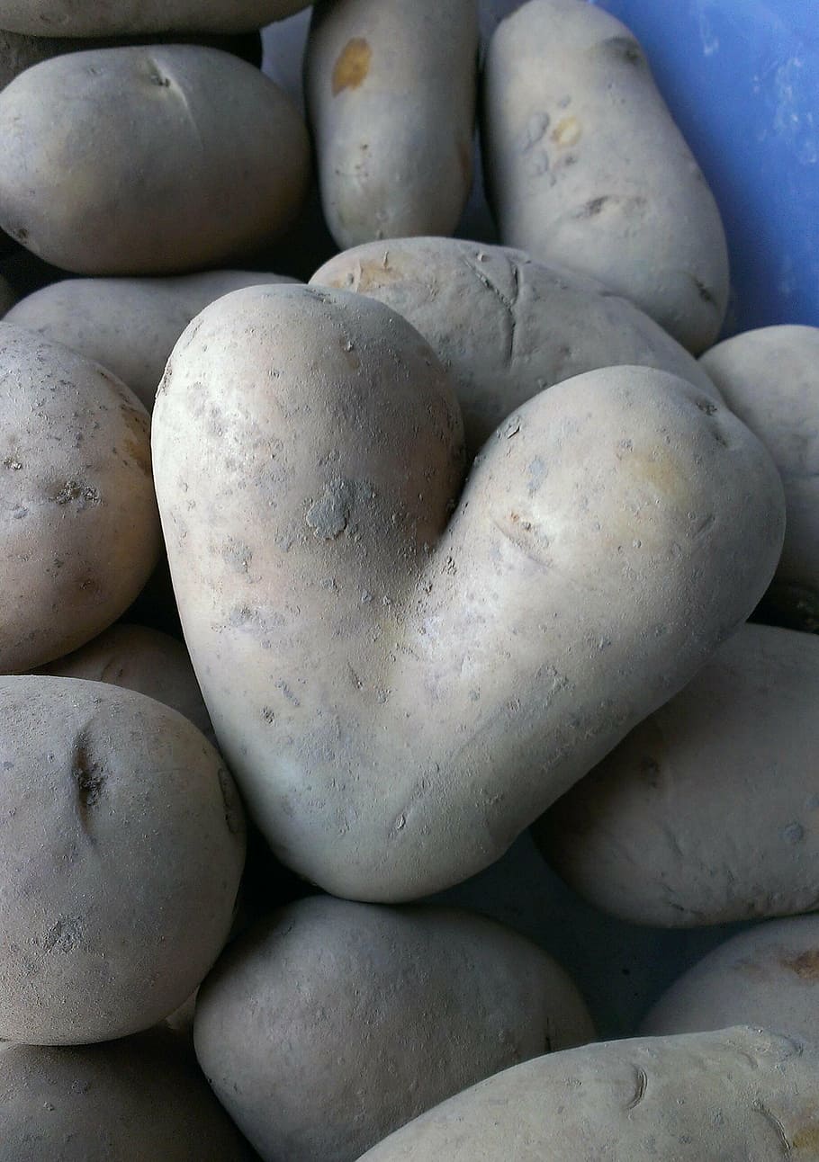 potato, heart, vegetables, eat, nutrition, heart shaped, potato heart, nature, food, sweet