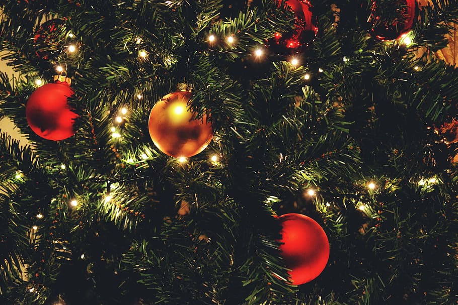 выстрел, украшения, Крупным планом, огни рождественской елки, различные, рождество, празднование, красный, блестящий, дерево