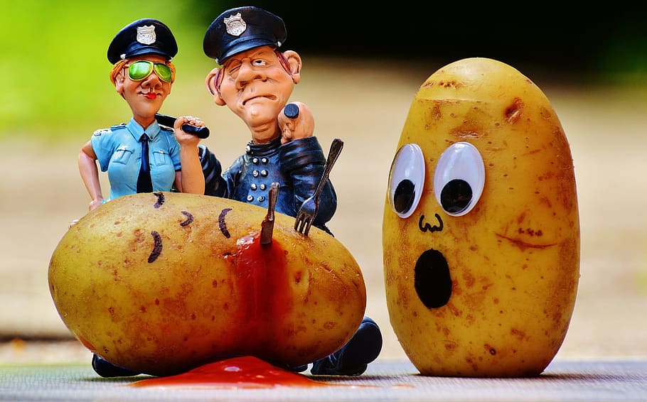 male, female, police plastic figures, two, potatoes, murder, blood, police, investigations, funny