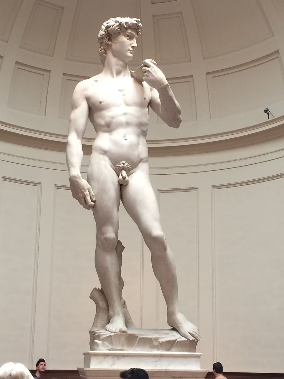 David, estatua, escultura, Florencia, representación humana, de pie, interiores, arte y artesanía, representación, sin camisa
