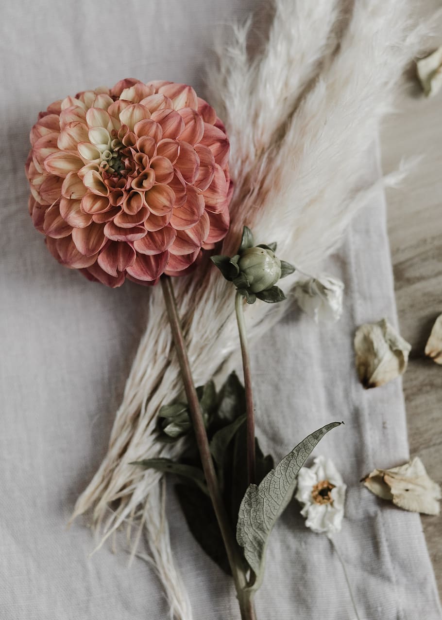 mothersday, floral flatlay, still life, rustic, country, vintage, natural, romantic, linen, coral