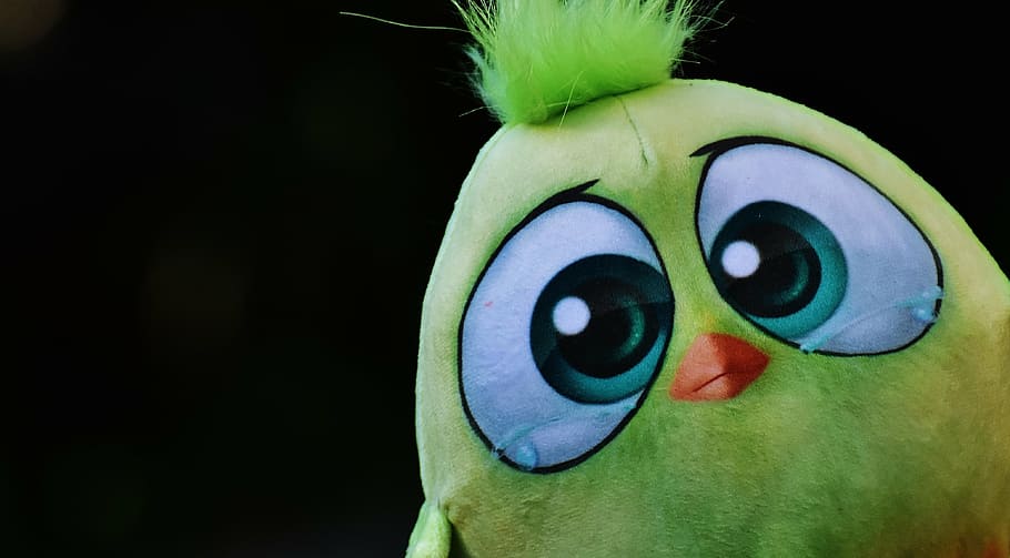 burung, mewah, boneka binatang, mainan, lucu, manis, close-up, multi-warna, warna hijau, foto studio