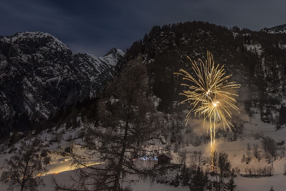 fireworks, new year's eve, new year's day, rocket, boeller, celebration, fireworks rocket, nature, landscape, tree