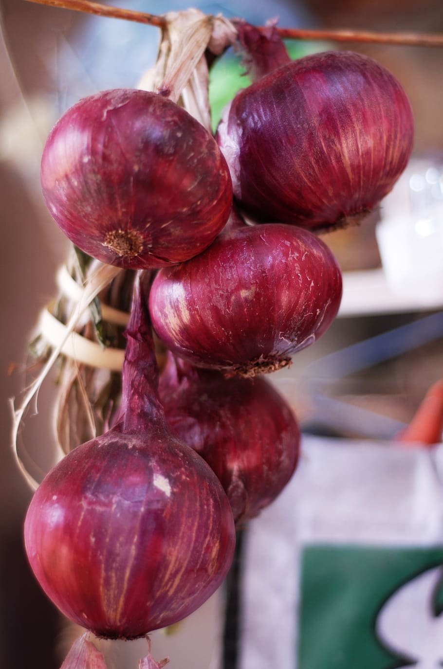 purple onion, copanatoyac, nature, tlapa de comonfort, gro, food and drink, food, freshness, close-up, focus on foreground
