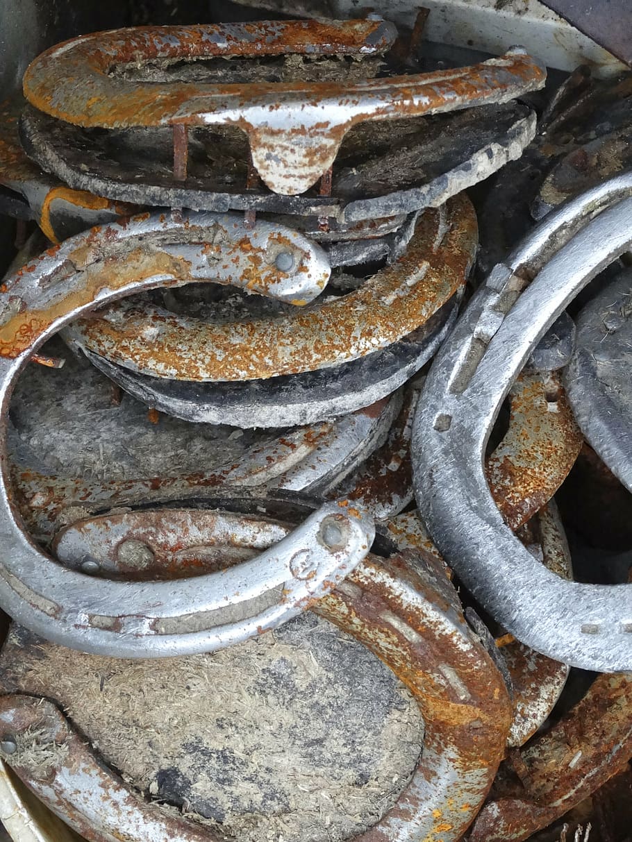 horseshoe, stainless, rusty, metal, scrap metal, scrap, iron, old, seafood, retail