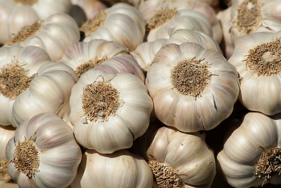 garlic bulbs, garlic, vegetable garden, garden, harvest, market, food and drink, garlic bulb, full frame, food