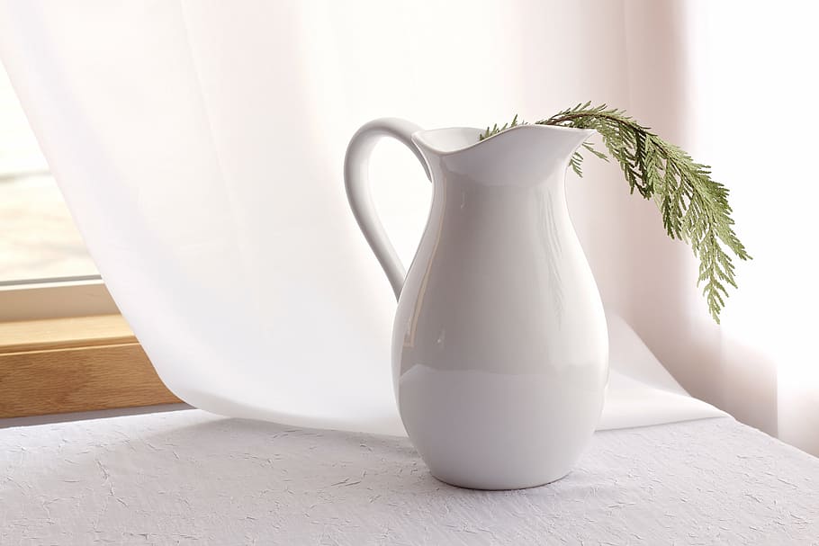 green, plant, white, ceramic, vase, leaf, pitcher, near, window, curtain