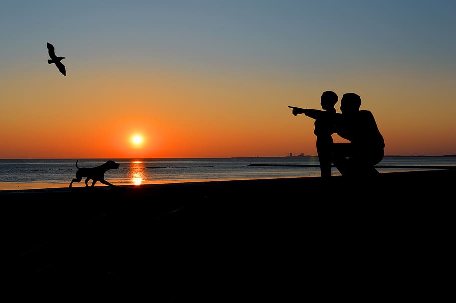 sunset, father with child, dog, silhouette, north sea, abendstimmung, sky, water, beach, sea