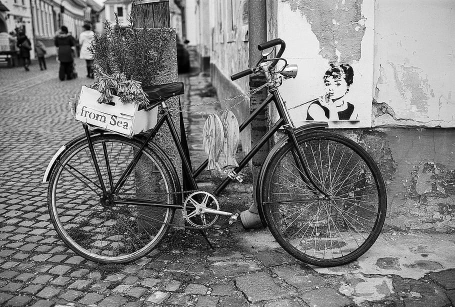 bicicleta, dos, rueda, bicicleta vieja, realeza, ladrillo, clásico, hormigón, frutas, antiguo