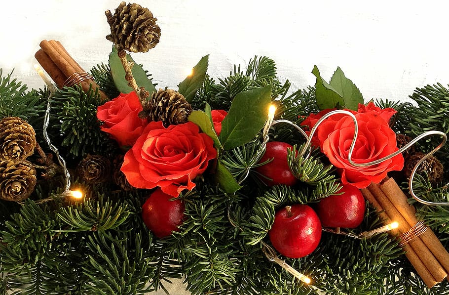 rojo, rosas, conos de pino decoración de navidad, decoración, abeto, luz, hermosa, flores, rosa, feriado