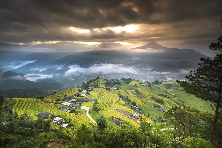 aéreo, fotografía, pueblo, montaña, Vietnam, arroz, campo de arroz, Ha Giang, terrazas, Hoang su phi