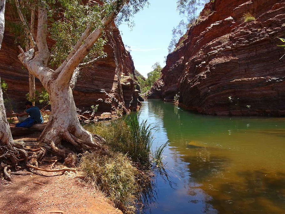 karijini national park, australia, outback, landscape, rock formation, western australia, places of interest, gorge, water, tree