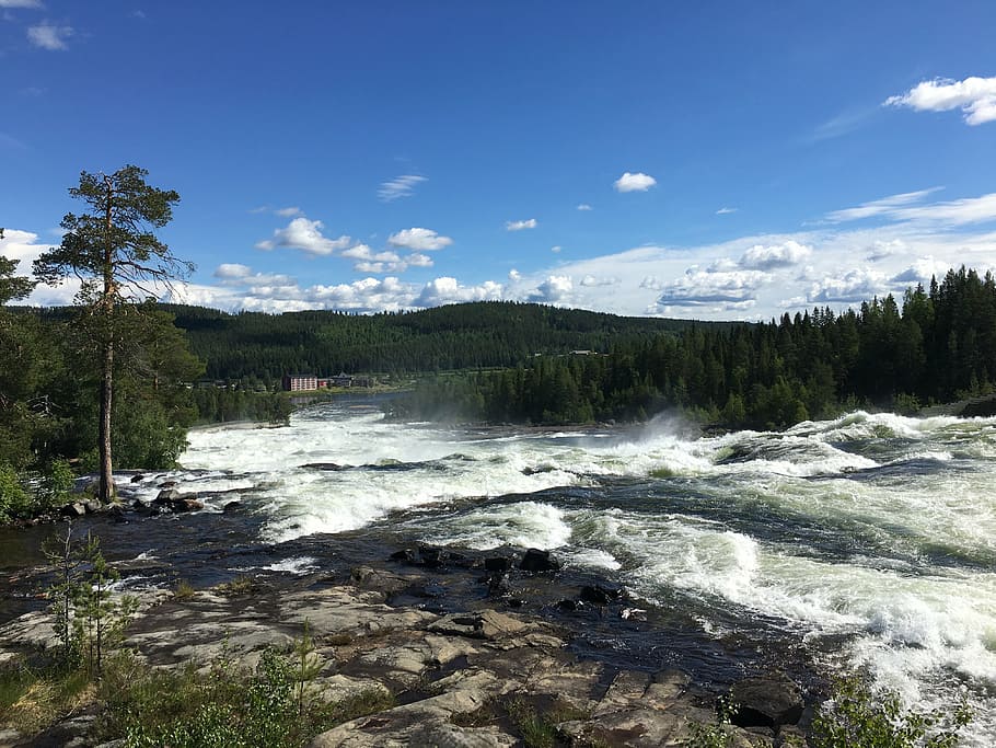 waterfall, sweden, nature, river, water, tree, rock, landscape, scandinavia, whitewater