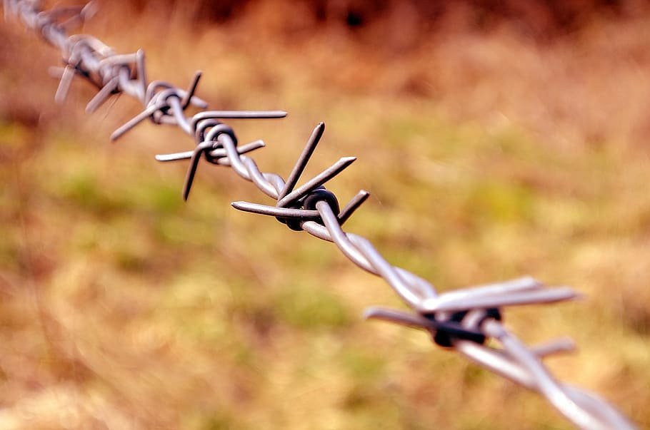 selective, focus photo, gray, barbwire, wire, barbs, danger, border, fence, privacy