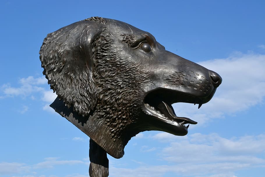 sculpture, ai wei wei, dog, bronze, head, animal, animal themes, one animal, sky, animal wildlife