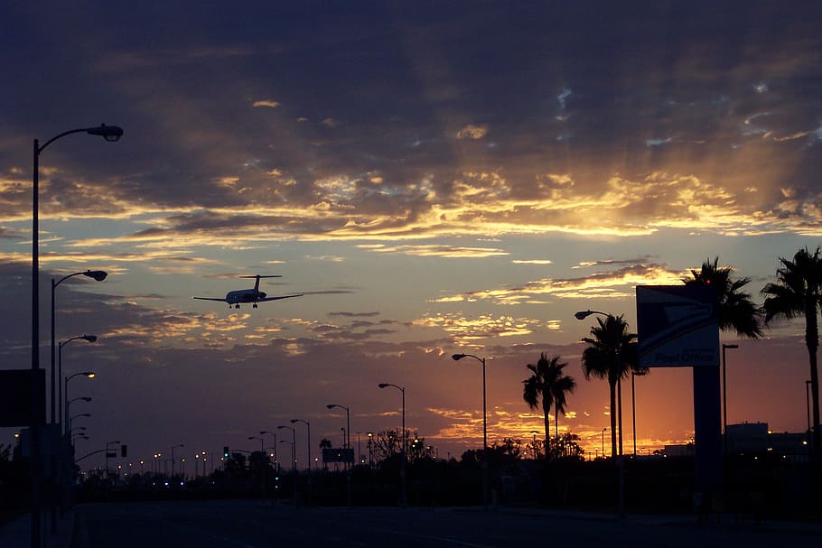 airplane, trees, aircraft, sunset, los angeles, lax, dusk, evening, silhouette, sky