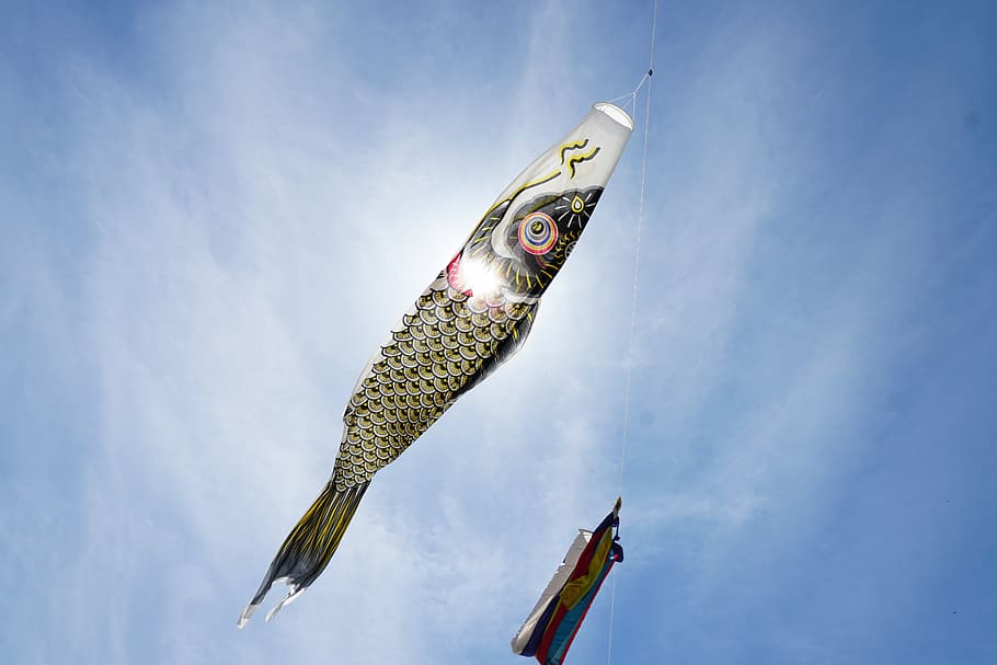 japan, culture, traditional, carp streamer, sky, skay, koinobori, blue, tradition, holiday