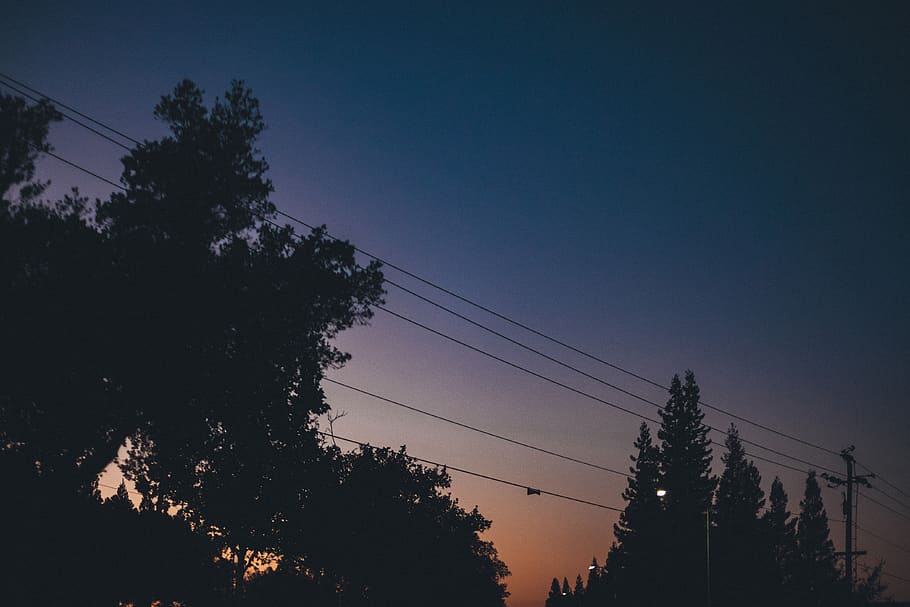 sunset, dusk, sky, night, dark, evening, trees, power lines, silhouette, shadows