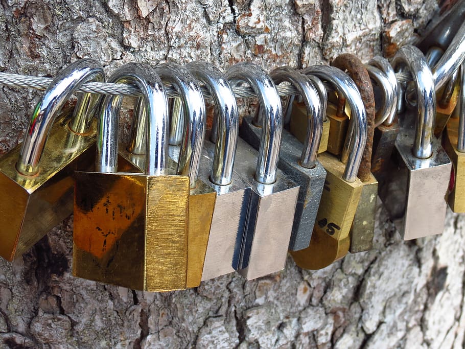 Love Locks, Tree, Castles, love tree, love, padlocks, friendship, love symbol, promise, liebesbeweis