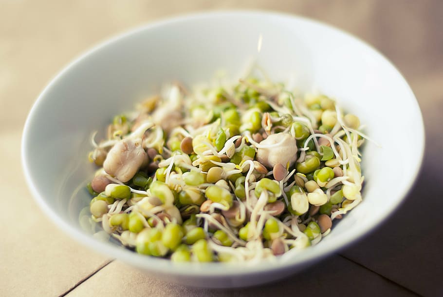 beans, white, bowl, soybean, sprouts, soya, food, healthy, fresh, organic