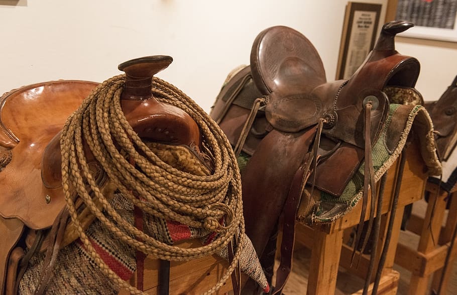 saddles, western, pomel, horn, stirrup, cantle, seat, cinch, skirt, rope