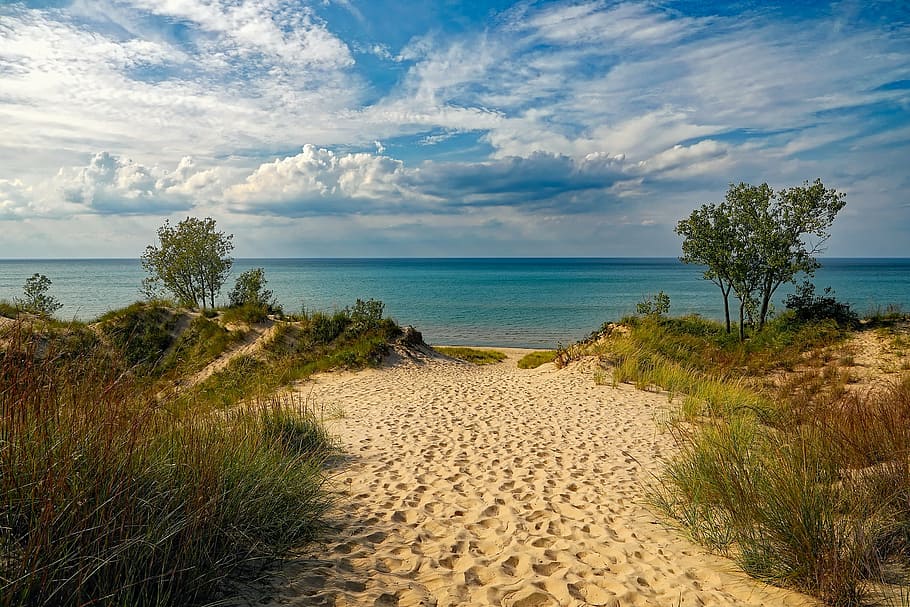 green, trees, body, water, indiana dunes state park, beach, lake michigan, sky, clouds, plants