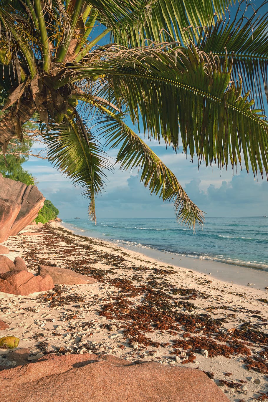 la digue, seychelles, seychellen, an island, laut, firdaus, tropis, pantai, liburan, perjalanan