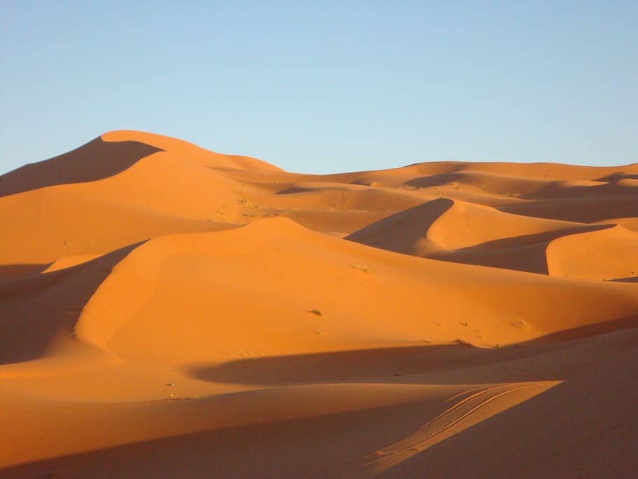deserto, duna, areia, saara, árido, região selvagem, marrocos, areia duna, seca, natureza