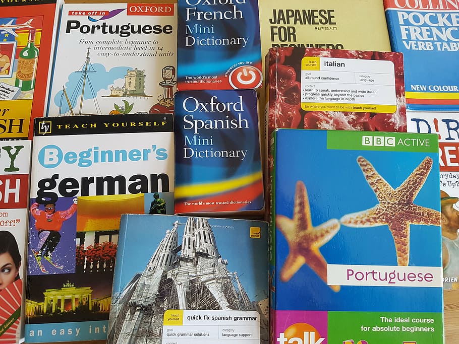 assorted educational books, language, learning, books, education, learn, study, foreign, translation, knowledge