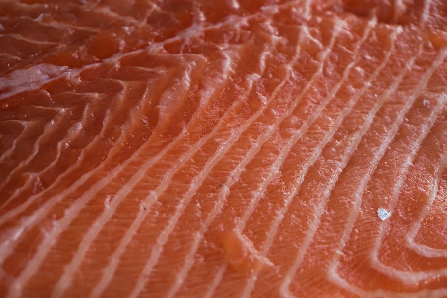 salmon, ikan, fillet, makanan, salmon fillet, gourmet, lezat, nutrisi, mentah, makan