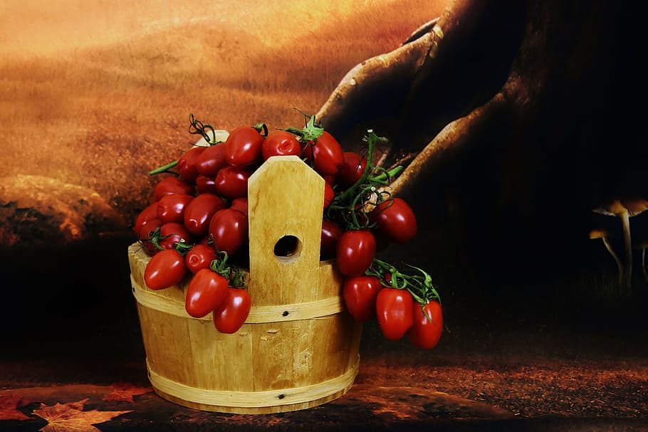 cosechar tomates, cubo de madera, vegetales, alimentos, alimentos y bebidas, parte del cuerpo humano, fruta, una persona, mano humana, alimentación saludable