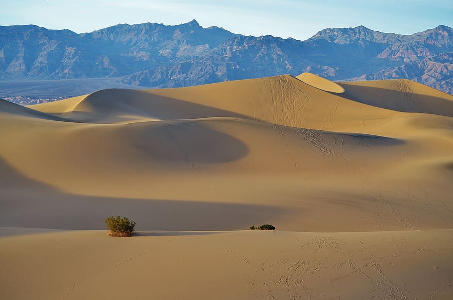 mesquite flats, sand dunes, death valley np, national park, california, usa, desert, nature, landscape, outdoors