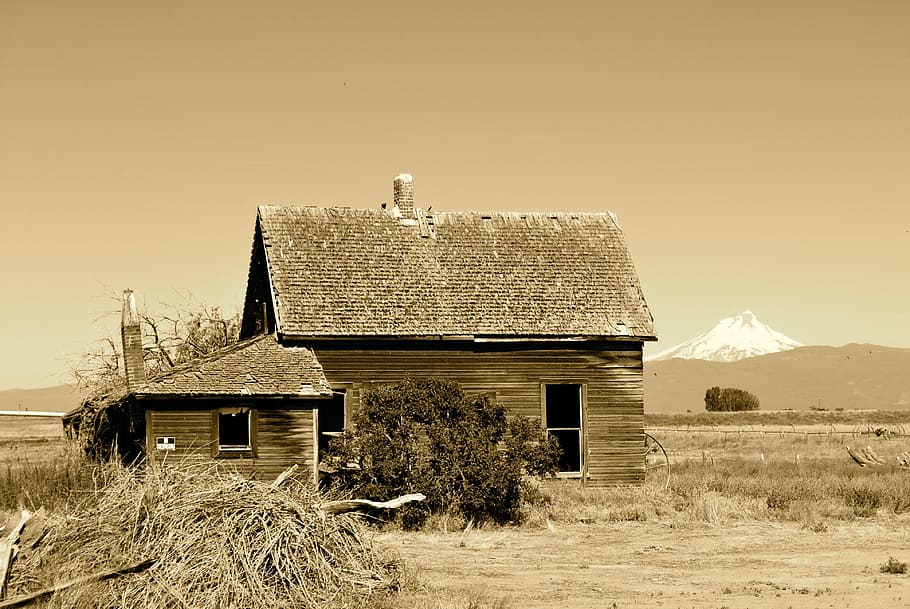 Homestead, Frontier, Heritage, Historic, mountain, scenic, sepia, house, building exterior, built structure