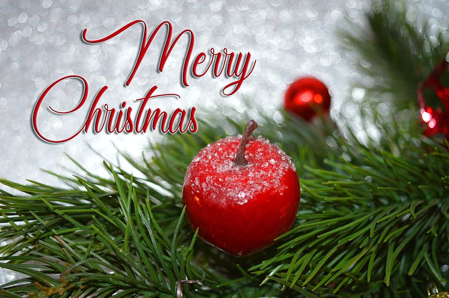 motif natal, selamat natal, salam natal, kartu natal, natal, dekorasi, kedatangan, teks, aksara barat, merah