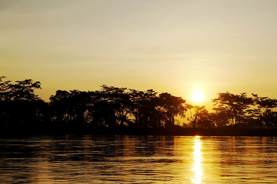 silhouette photography, trees, body, water, golden, hour, river, colombia, sun, summer