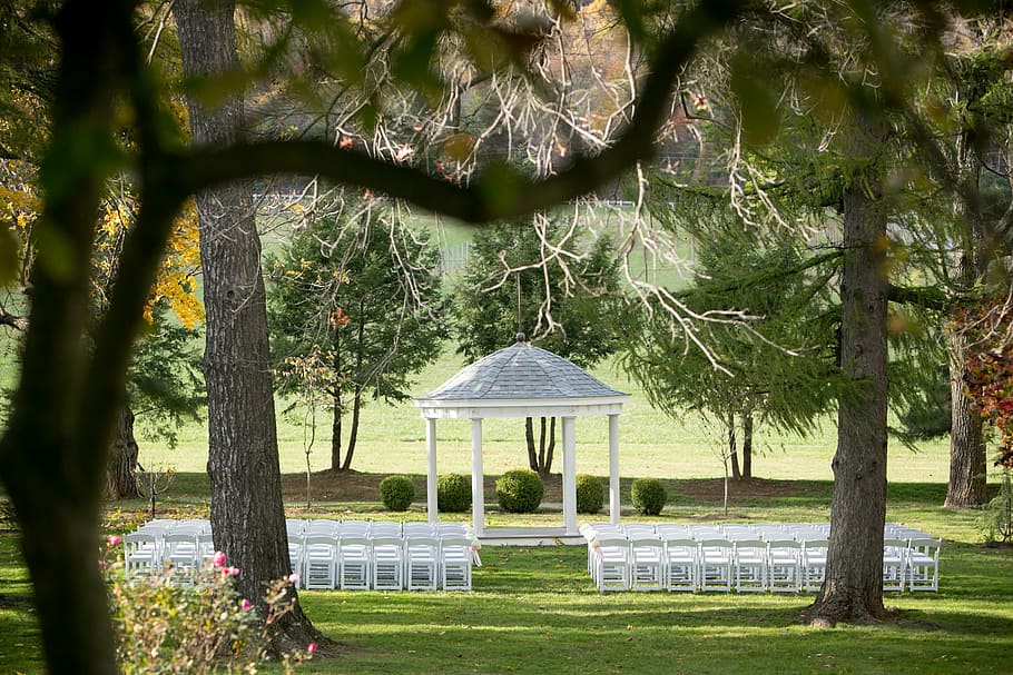fall, wedding, ceremony, landscape, chairs, pavilion, park, outdoors, decor, tree