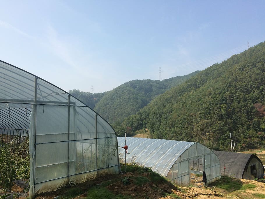 plastic greenhouse, country, autumn sky, tranquility, farming, rural, crop, warmth, mountain, sky
