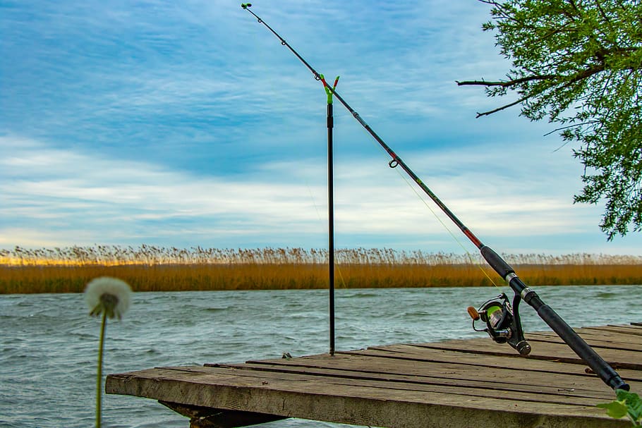 rod, fishing, fishing reel, hobby, river, leisure, nature, water, sky, lake