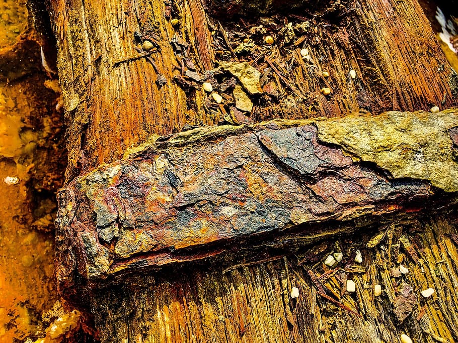 metallic, surface, structure, corrosion, weathered, oxidation, wood - material, textured, tree trunk, trunk