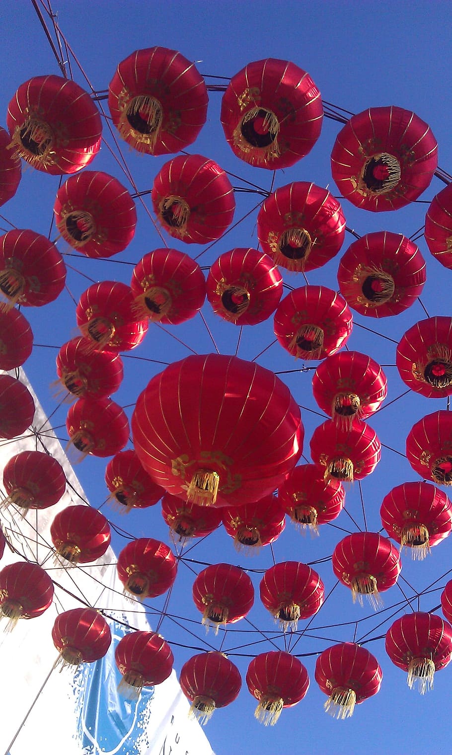 Paper, Chinese Lanterns, lanterns, display, concentric, overhead, culture, tradition, decoration, japanese lanterns