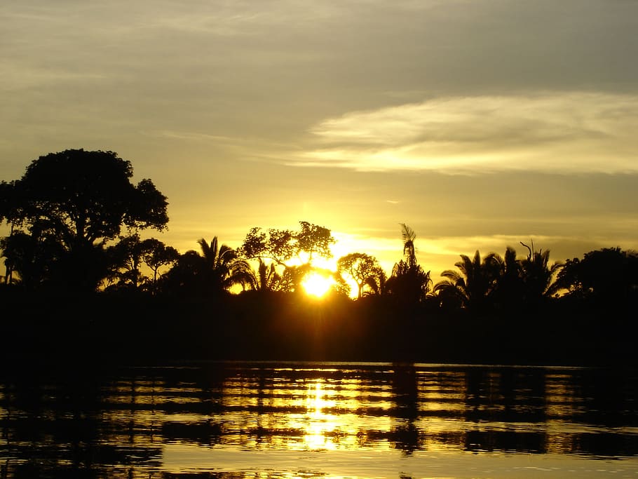 amazonas, puesta de sol, río, brasil, cielo, paisaje, selva, agua, selva tropical, tropical
