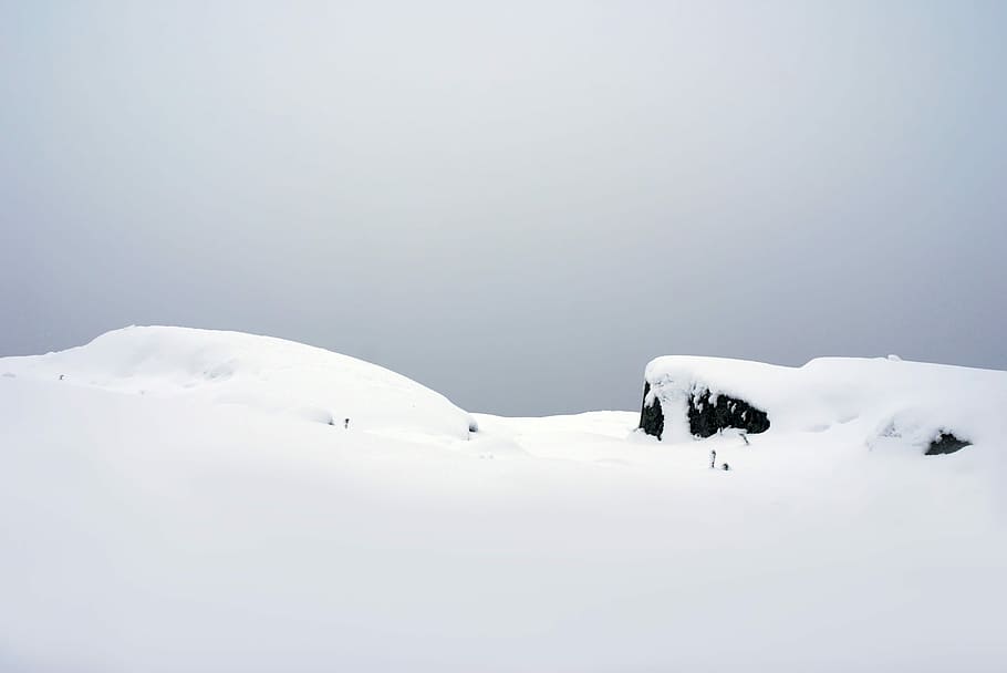 冬, 氷, 寒さ, ウプサラ, スウェーデン, 雪, 寒い, 雪が多い, 白, 風景