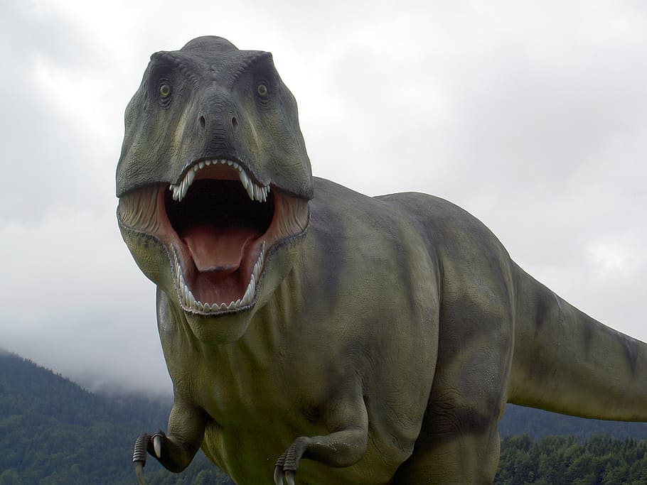 green artificial t-rex, t rex, dinosaur, park, roaring, standing, fear, brutal, tooth, brown