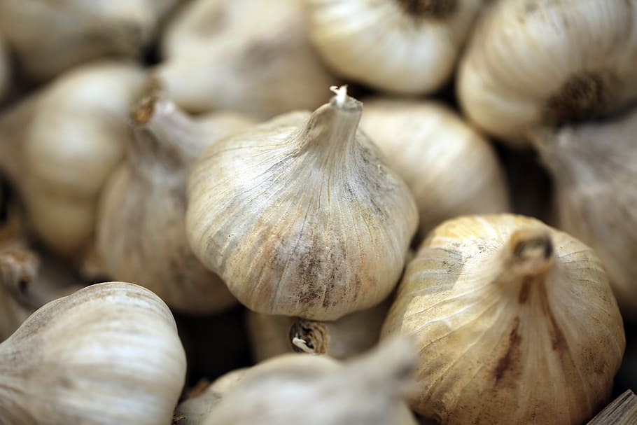 garlic cloves, food and drink, freshness, food, ingredient, wellbeing, vegetable, close-up, full frame, healthy eating