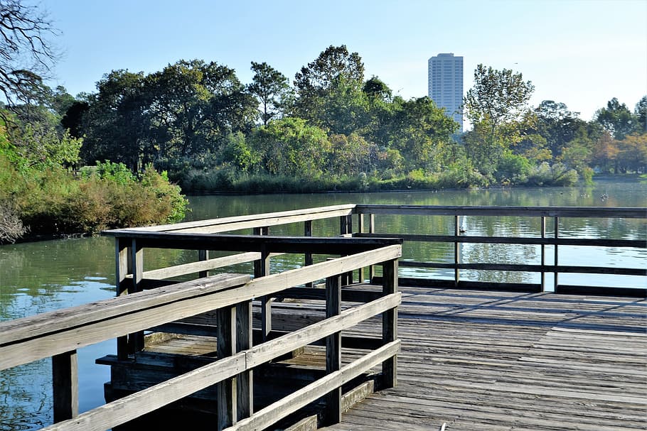brown, wooden, dock, surrounded, water, herman park, houston texas, lake, river, trees
