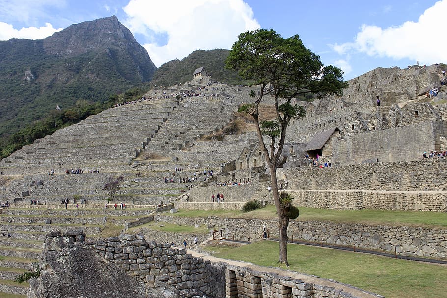 green, leafed, tree, brown, rock formation houses, ruins, inca, peru, valley, stone