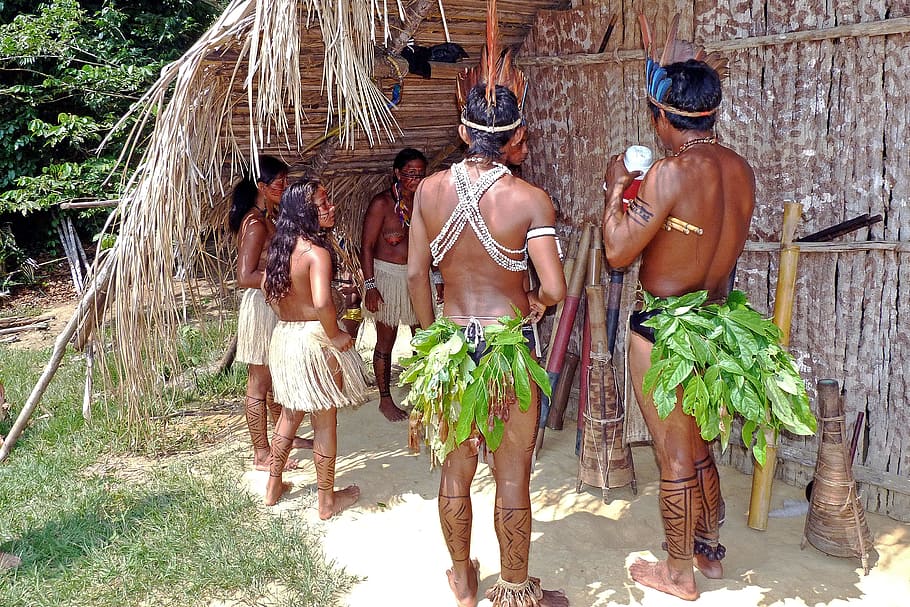 homem, mulher, nativo, traje, Amazônia, Índios, Floresta tropical, Brasil, índios da Amazônia, tropig
